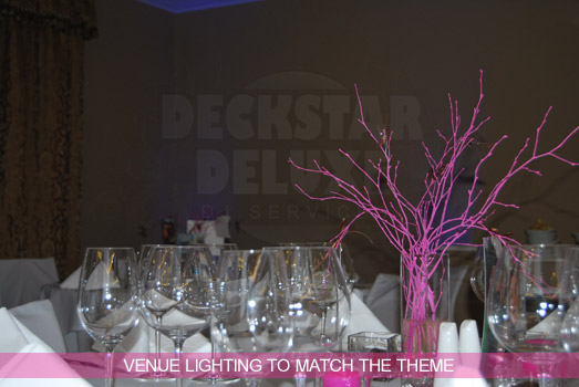 Theme Matched Venue Lighting with Cheltenham Wedding DJ